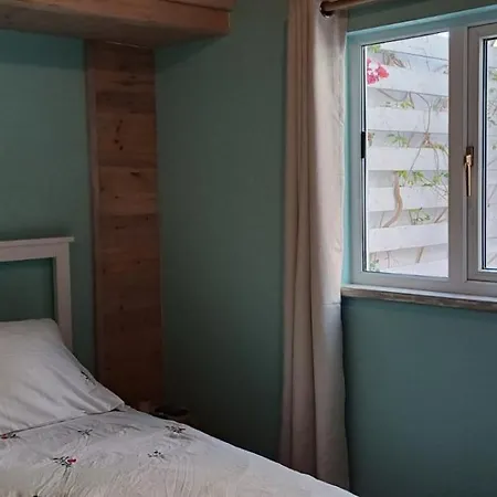 Jay's Nest